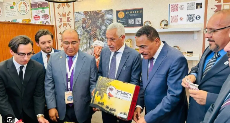 Siwa, Egipto 2023 - Desierto de Sonora